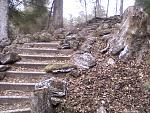 ride at Poinsett State Park