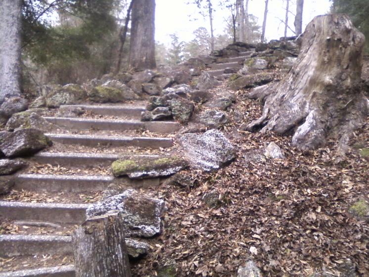 poinsett state park, 1-5-2014